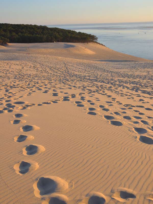 bassin-arcachon-dune-du-pilat-course-vtc-transfert-aeroport